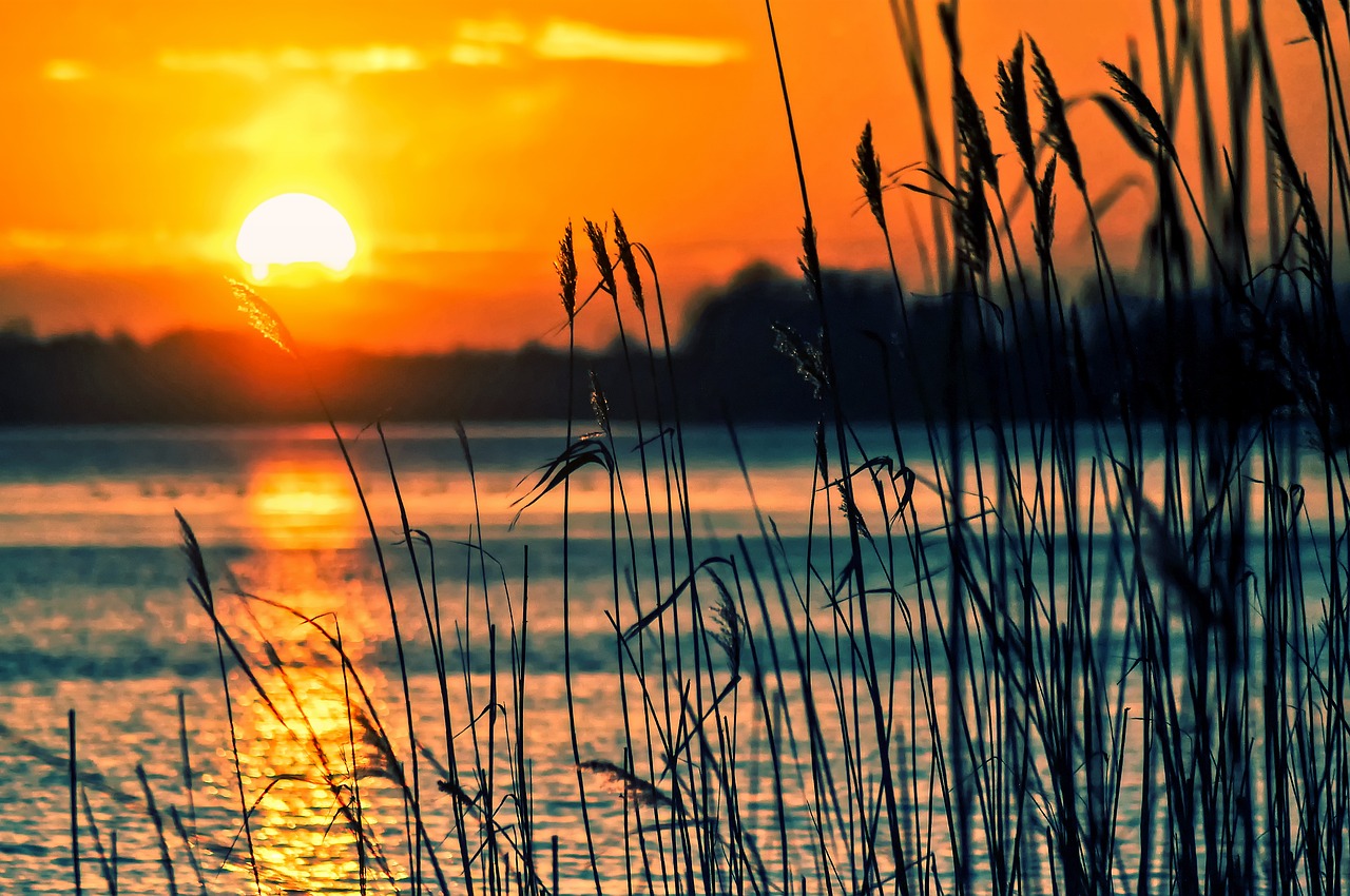 Image by Tomasz Marciniak from Pixabay