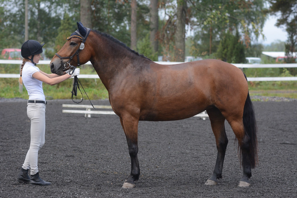 (c) Cherie ((CC BY-NC 2.0))